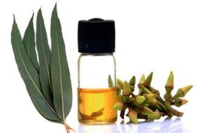 Eucalyptus Ueleg fir d'Behandlung vun Onychomykosis