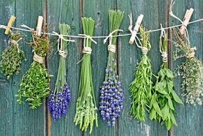 Kraider fir Zehennagelpilz ze behandelen